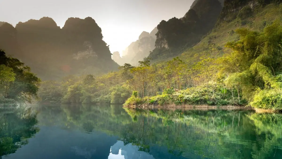 可靠性独特高端